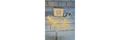 LED Microkette (10 Birnchen) mit Batteriefach und 6hTimer, Kabel silber