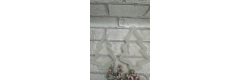 Silikonform: Tannenbaum, klein