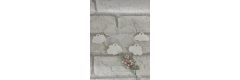 Silikonform: Wolken ( 4 Stück)