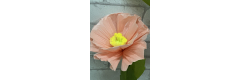 Blume aus Krepp