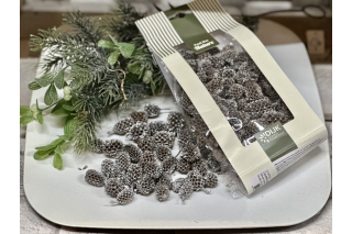 Casuarina, 100gr