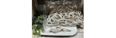 XXL Paket Cocos Scheiben, white washed