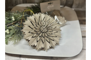 Papier Hänger Stern, champagner M
