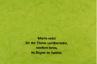 Warte nicht bis der Sturm vorüberzieht, sondern lerne, im Regen zu tanzen.